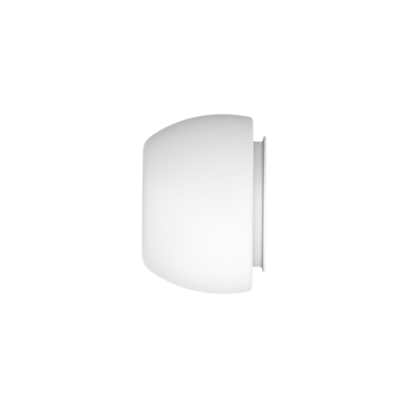 Apple AirPods Pro 3 Ear Tip - S.png