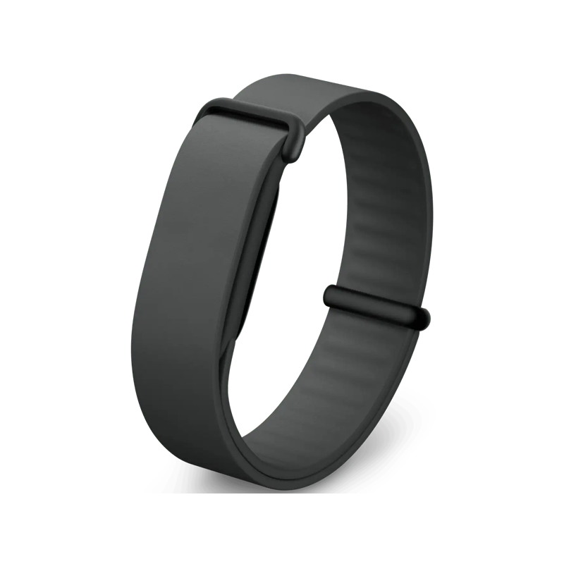Google Fitbit Air Elevated Modern Band (Obsidian_Matte Black Stainless Steel Clasp).png