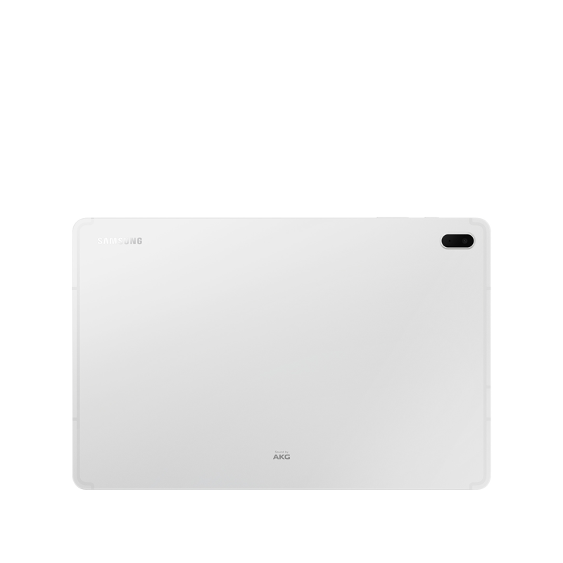 Samsung Galaxy Tab S7 FE 12.4 5G SM-T736B (Mystic Silver back).png
