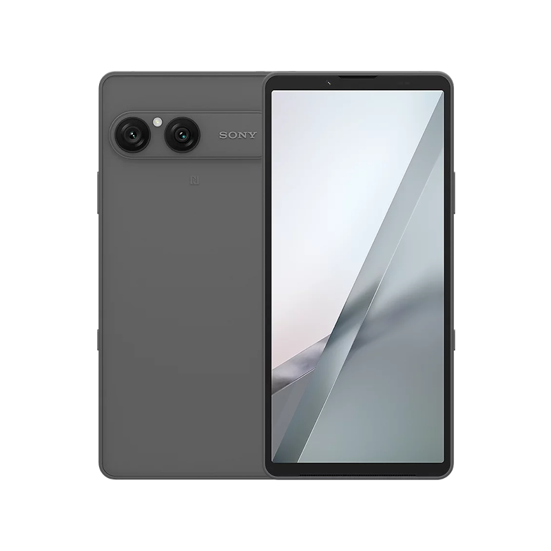 Sony Xperia 10 VIII (Frosted Gray).png