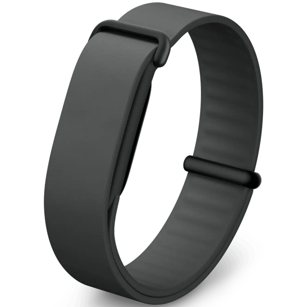 Google Fitbit Air Elevated Modern Band