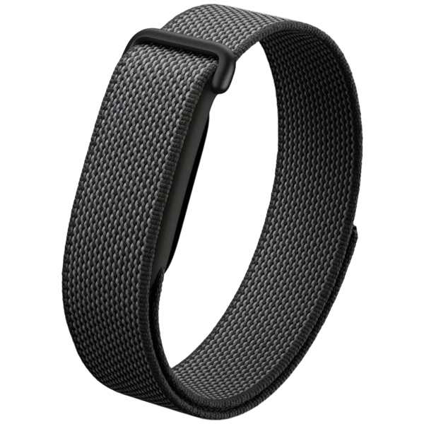 Google Fitbit Air Performance Loop Band